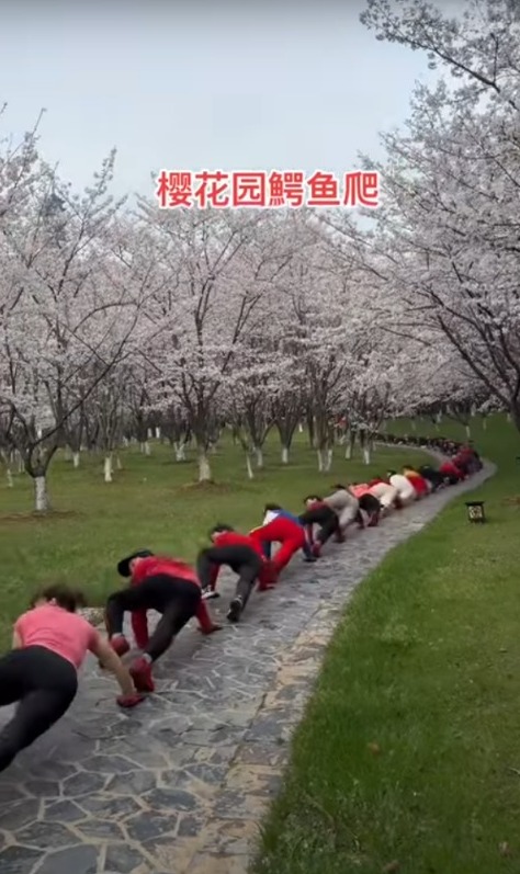 蘇州公園出現「人形蜈蚣陣」奇景 幾十人趴地前進 畫面勁震撼！ 