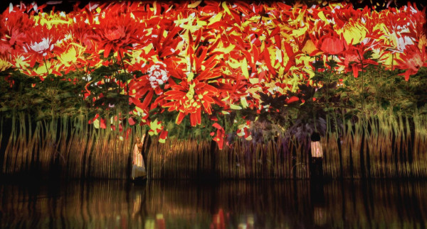 澳門teamLab展覽(圖片來源︰澳門teamLab超自然空間) 澳門teamLab展覽(圖片來源︰澳門teamLab超自然空間)