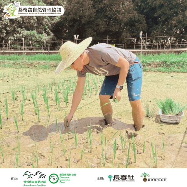 荔枝窩推8日駐村生活體驗 夏日鄉郊深度遊！試做香港農夫/廚神比賽