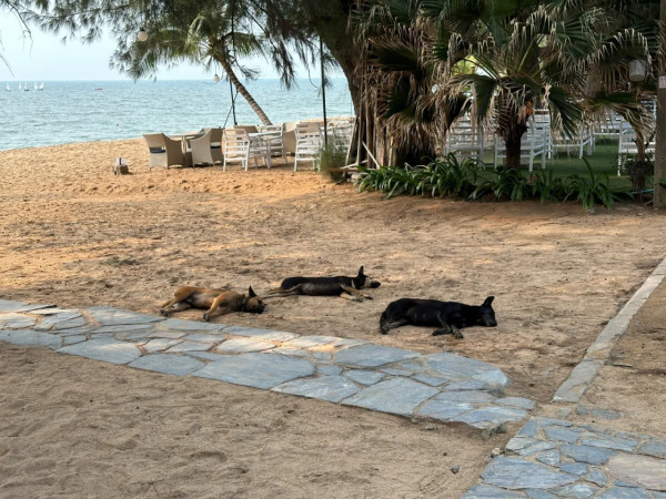 日女叫外賣見文字紙條！2句字令人不寒而慄！網民：快搬走 