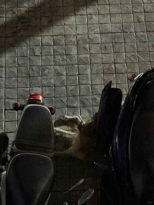 日女叫外賣見文字紙條！2句字令人不寒而慄！網民：快搬走 