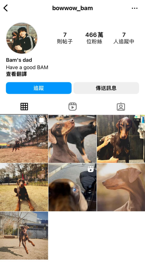 BTS柾國為愛犬Bam開設 IG帳號！粉絲人數衝破400萬成新一代明星狗狗！