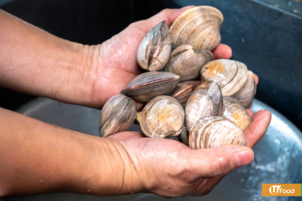 文哥龍蝦煲 文哥龍蝦煲