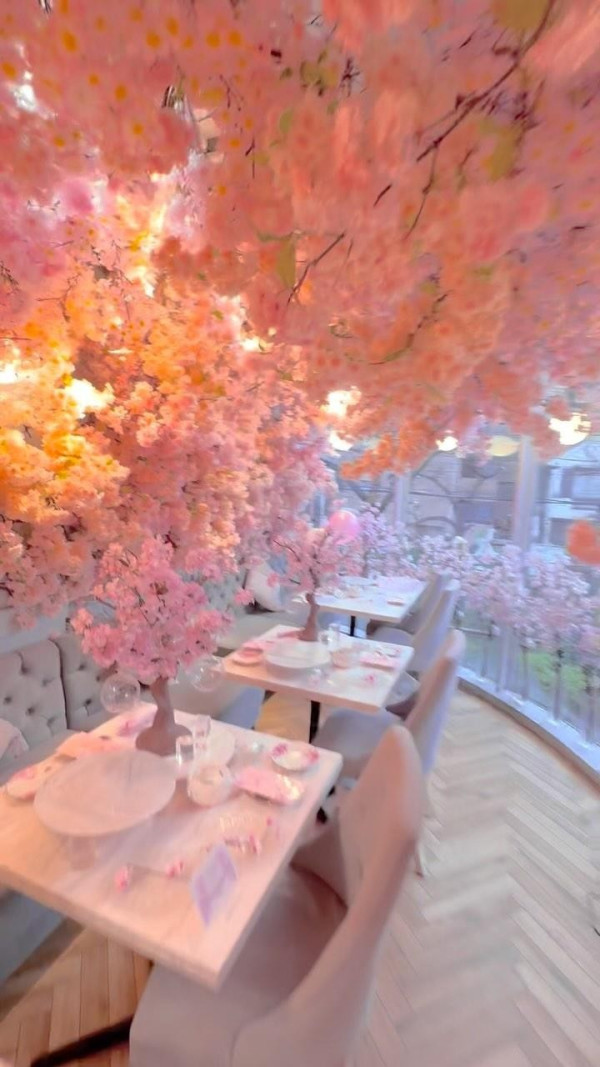 日本東京花海CAFE推薦！根據四季轉換 紫藤花/櫻花/玫瑰主題！ 