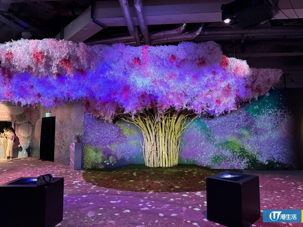 NAKED FLOWERS 花舞光影展 香港站（圖片來源：編輯部）