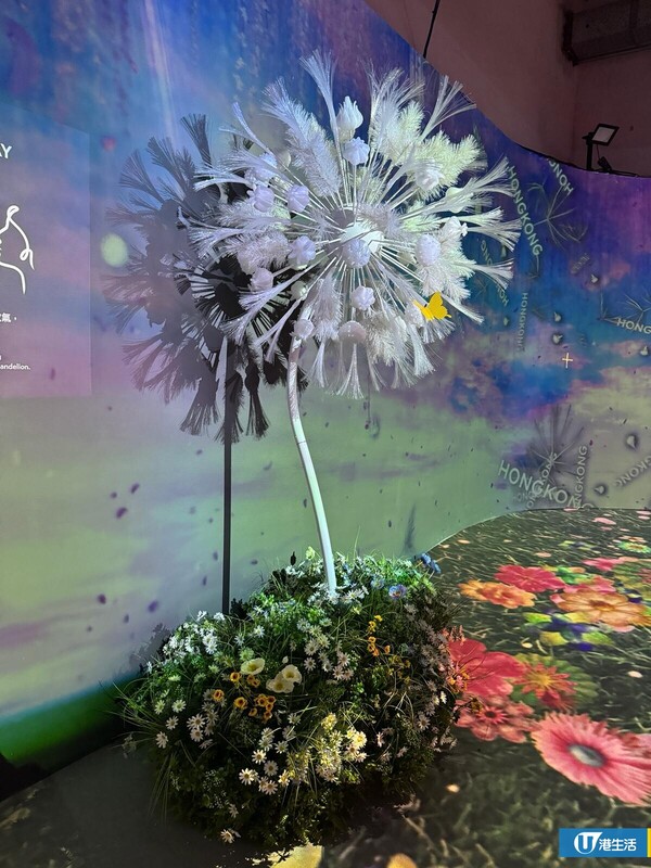 日本「NAKED FLOWERS花舞光影展」首登香港！記者直擊8大展區沉浸式花海體驗！
