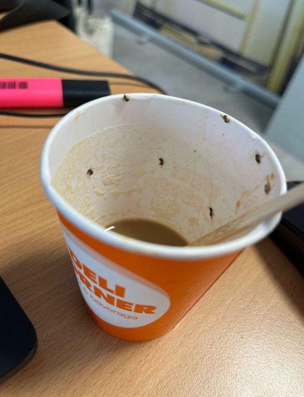 咖啡機有蟲｜西班牙機場買咖啡全是蟲 21歲女現過敏反應 入住ICU 36小時險死