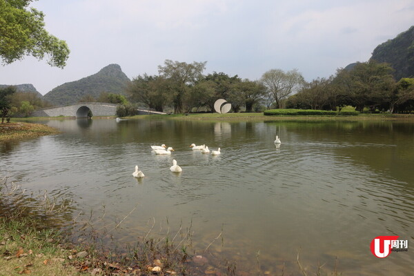 試住Club Med桂林度假村 一個價錢酒店、食、玩全包！ 