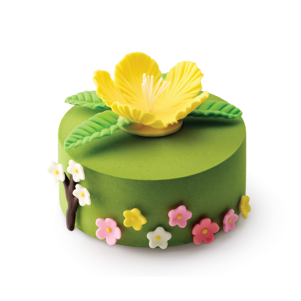 聖安娜推出花漾愛意母親節蛋糕   小雛菊花束／皇冠草莓慕絲／紅心寶盒蛋糕／會員85折！