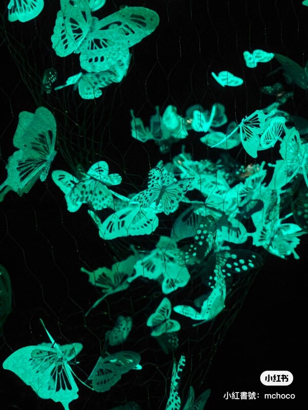 深圳期間限定蝴蝶光影藝術展  免費入場！過萬隻蝶光星河超浪漫 