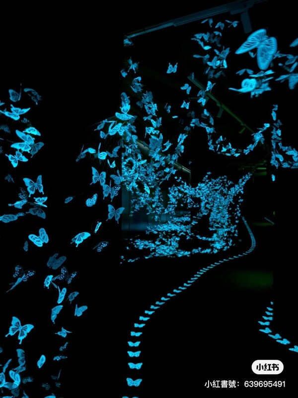 深圳期間限定蝴蝶光影藝術展  免費入場！過萬隻蝶光星河超浪漫 
