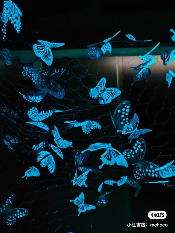深圳期間限定蝴蝶光影藝術展  免費入場！過萬隻蝶光星河超浪漫 