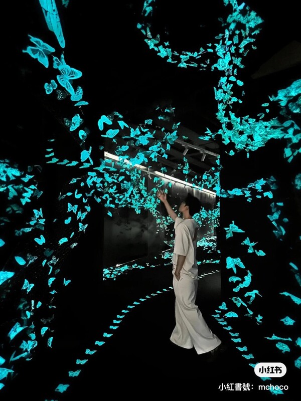 深圳期間限定蝴蝶光影藝術展  免費入場！過萬隻蝶光星河超浪漫 