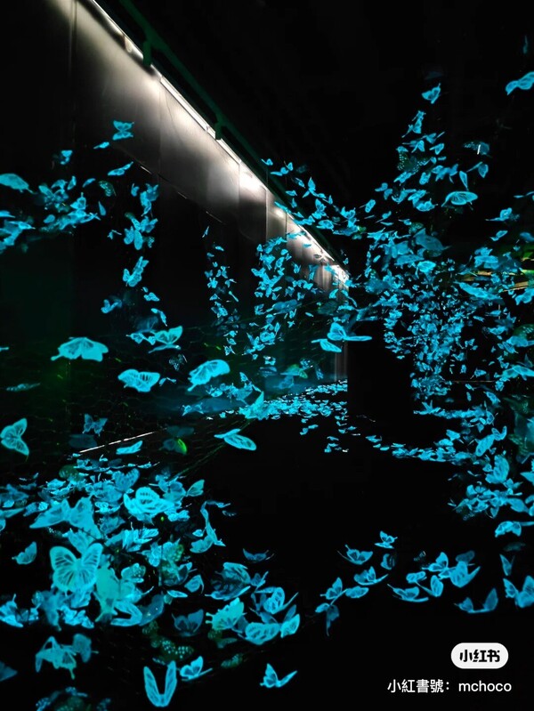 深圳期間限定蝴蝶光影藝術展  免費入場！過萬隻蝶光星河超浪漫 