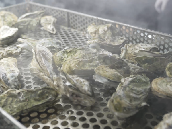 岩手縣、青森縣海產物（圖片來源：日本國駐香港總領事館）