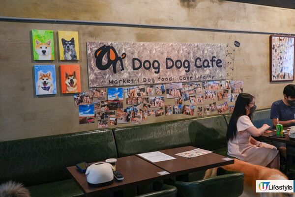 7000呎狗狗Pet-Friendly Café／$170無限時任玩／仲有寵物鮮食餐提供