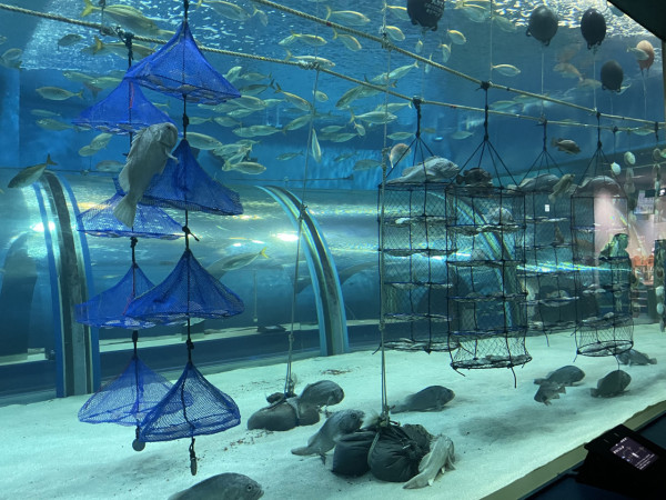 岩手縣、青森縣6大美食好去處推介！必食9款日本東北地道海產 