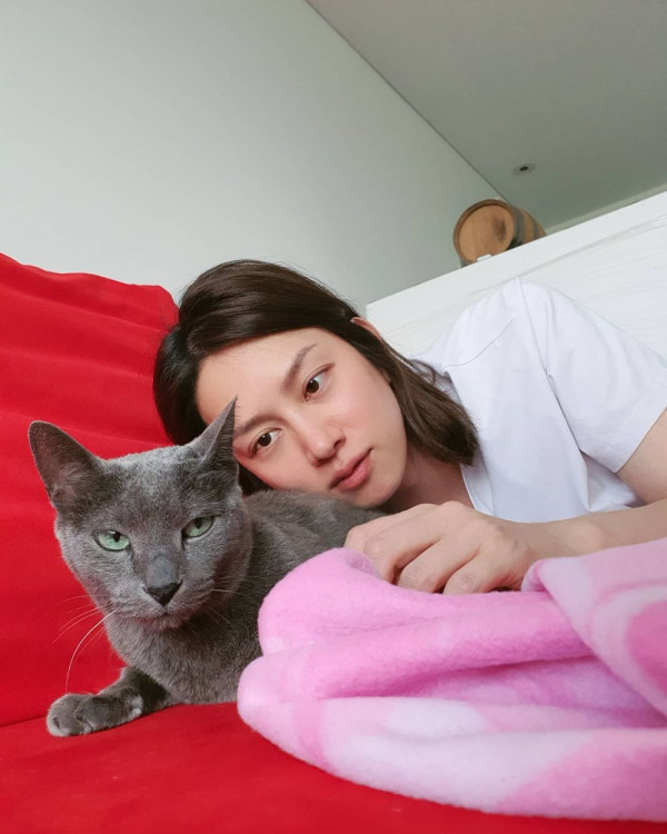 日本貓cafe老闆親授9招攻陷貓咪芳心！與「喵星人」拉近距離有技巧 