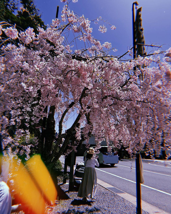 鄧麗欣海島度假「出股惑」!激罕曬泳裝照 Fit爆身材超吸睛