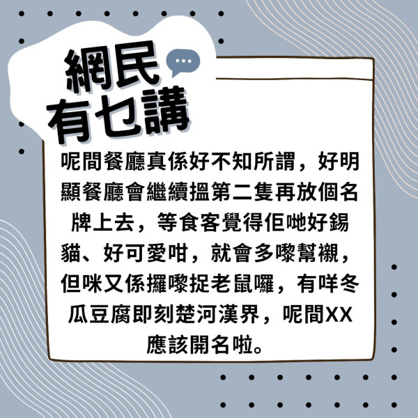 貓貓悲劇｜放養貓被車撞重傷垂危 餐廳嫌貴拒求醫除頸牌撇關係