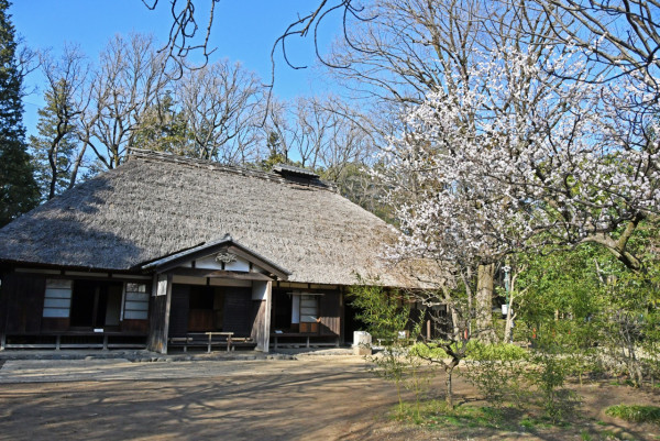 江戶東京建築園半日遊！《千與千尋》取景 傳統湯屋/電車打卡！ 