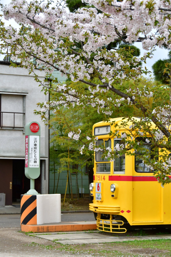 江戶東京建築園半日遊！《千與千尋》取景 傳統湯屋/電車打卡！ 