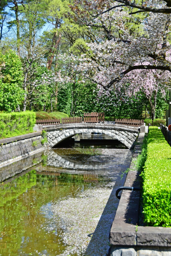 江戶東京建築園半日遊！《千與千尋》取景 傳統湯屋/電車打卡！ 