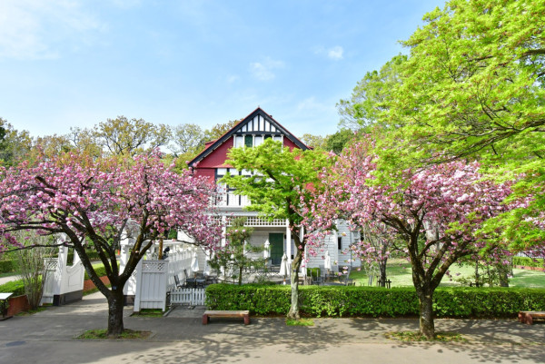 江戶東京建築園半日遊！《千與千尋》取景 傳統湯屋/電車打卡！ 