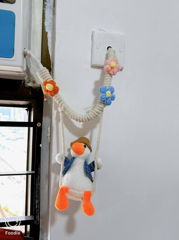 網民在淘寶購買麻繩及公仔DIY裝飾冷氣機電線。（Facebook群組「淘寶開心share」圖片）