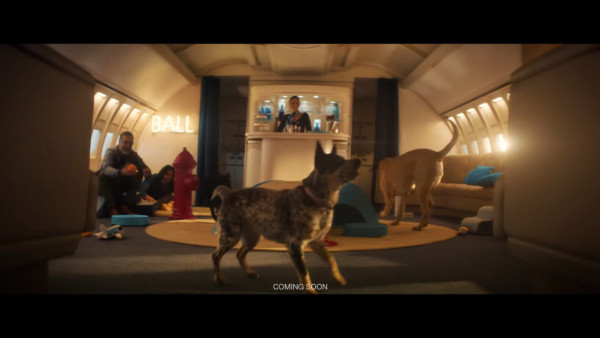 全球首間狗狗專屬航空公司  享受頭等艙待遇/寵物座椅/毛孩飛機餐 