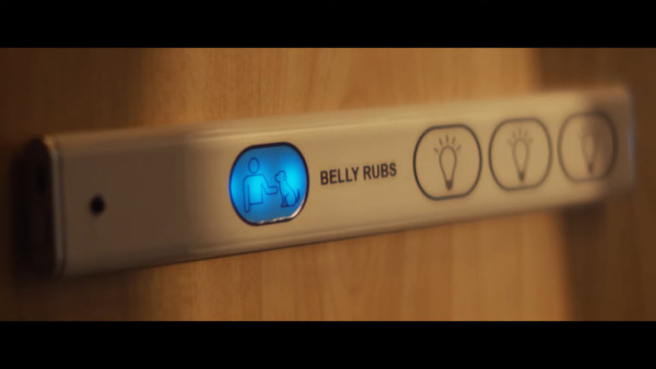 全球首間狗狗專屬航空公司  享受頭等艙待遇/寵物座椅/毛孩飛機餐 