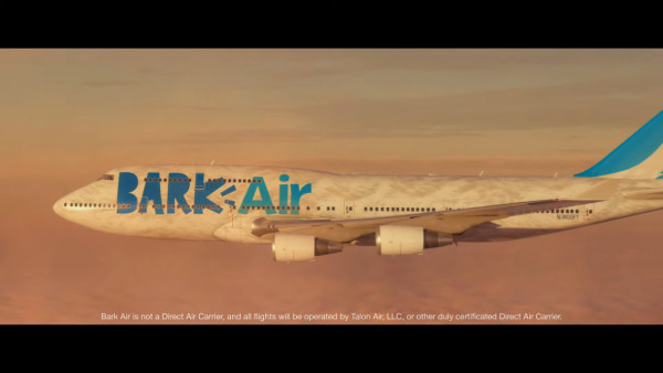 全球首間狗狗專屬航空公司  享受頭等艙待遇/寵物座椅/毛孩飛機餐 