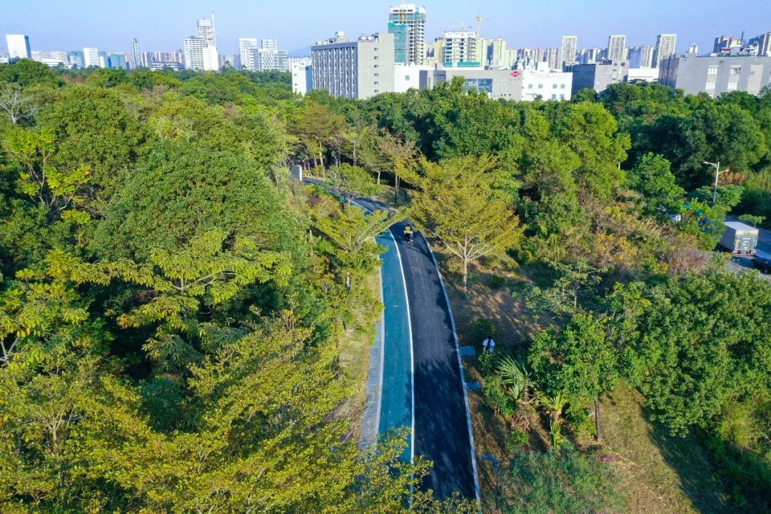 深圳地鐵14號線景點 聚龍山生態公園（圖片來源：微博@坪山發布）