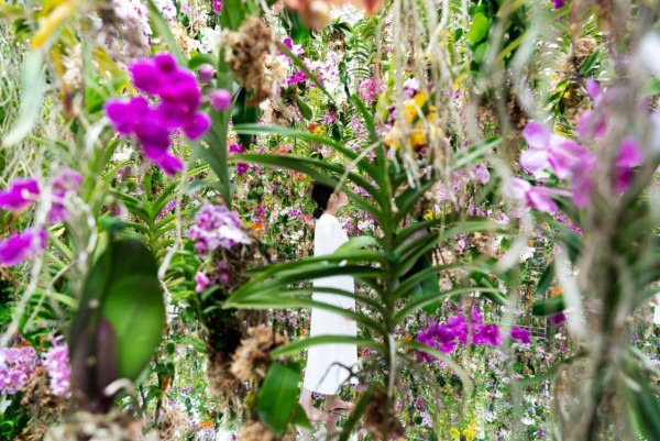 逾24大澳門情侶約會拍拖好去處 打卡必去戀愛巷／文創市集／人氣甜品 