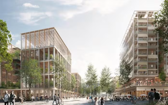 奧運村紙板床為禁慾而設？英國跳水王子Tom Daley開箱實測 