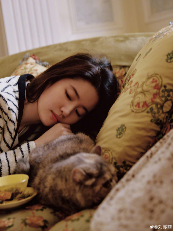 37歲劉亦菲生圖驚見發福走樣!臉型嚴重浮腫!狀態憔悴引粉絲擔心