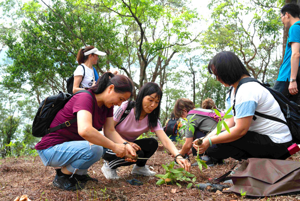 逾千人參與香港植樹日種6,000棵樹苗 記得睇埋「行山禮儀貼士」