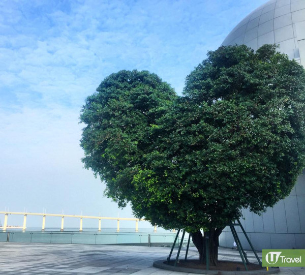 逾24大澳門情侶約會拍拖好去處 打卡必去戀愛巷／文創市集／人氣甜品 