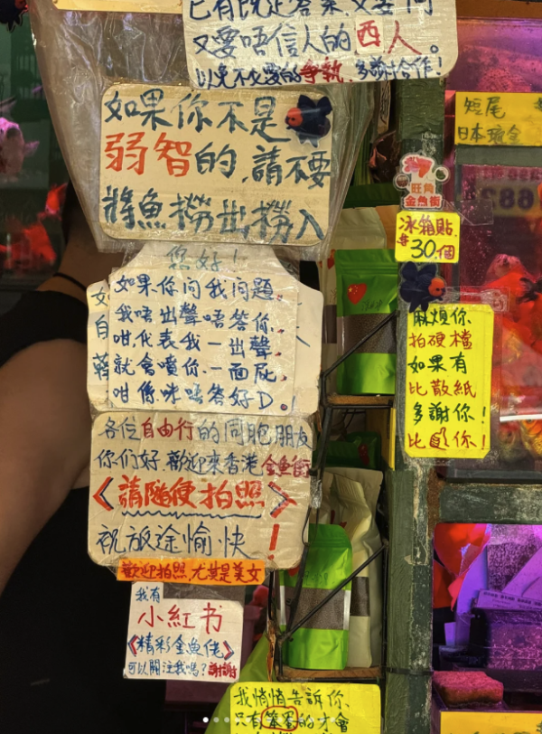 內地男來港一日遊！嘲香港街道破爛多流浪漢列4大罪狀！港人留言平反獲大讚