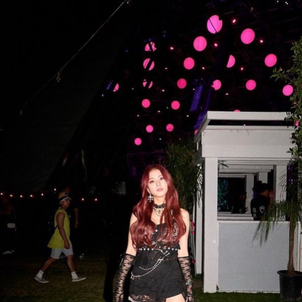 免漂髮色7.栗色