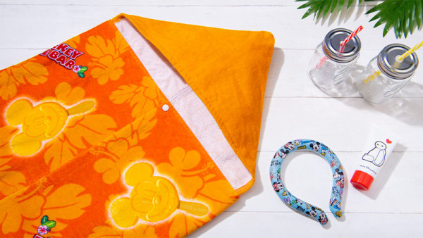 東京迪士尼夏季水派對回歸！6大濕身活動 Baymax花車巡遊+水量升級版遊樂設施 