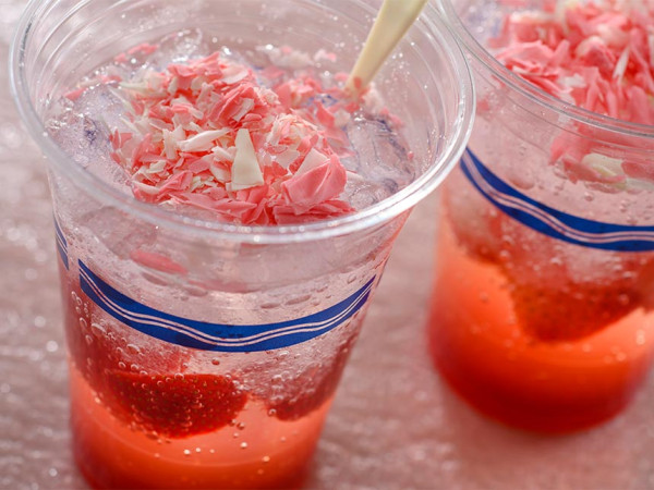 東京迪士尼夏季水派對回歸！6大濕身活動 Baymax花車巡遊+水量升級版遊樂設施 