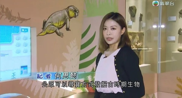 落選港姐遊日曬和服照獲讚有氣質 去年轉戰TVB新聞部收起性感 