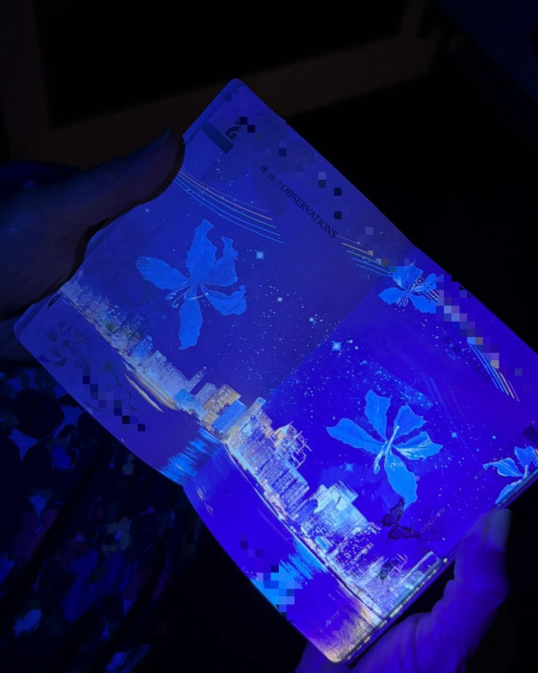 為何全球護照只有「紅藍綠黑」4種顏色？揭護照顏色背後意思 