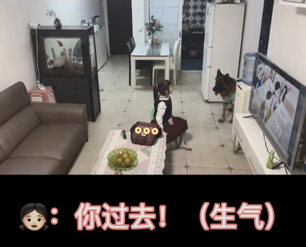 女童不做功課狂看電視！退役警犬叼出衣架「家法伺候」