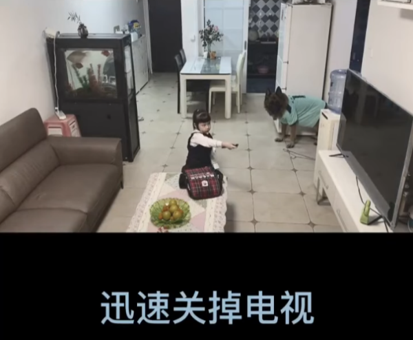 女童不做功課狂看電視！退役警犬叼出衣架「家法伺候」