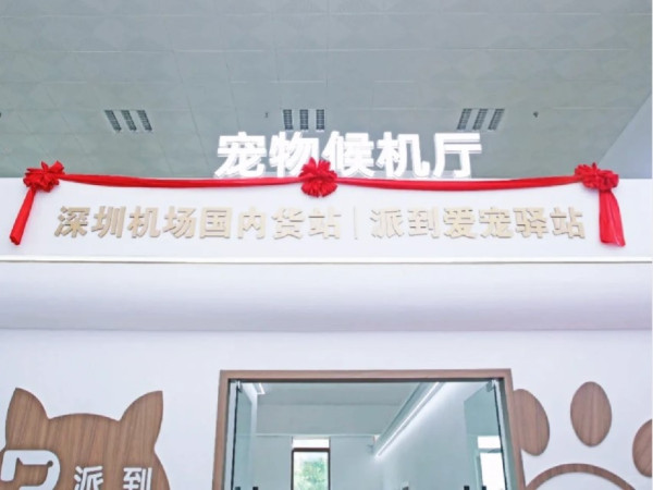 內地首個寵物候機室深圳啟用 獨立候機空間 寵物管家貼心服務