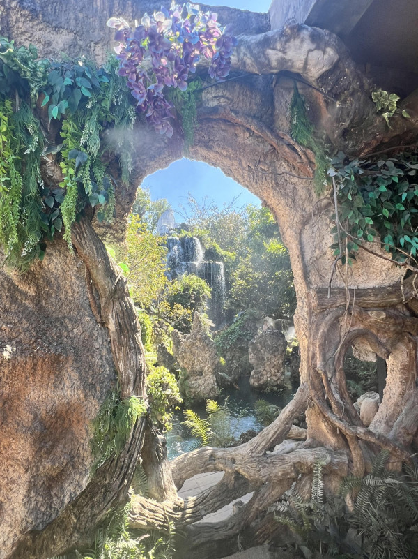 【飛女】打卡專用仙氣公園 Dantewada 