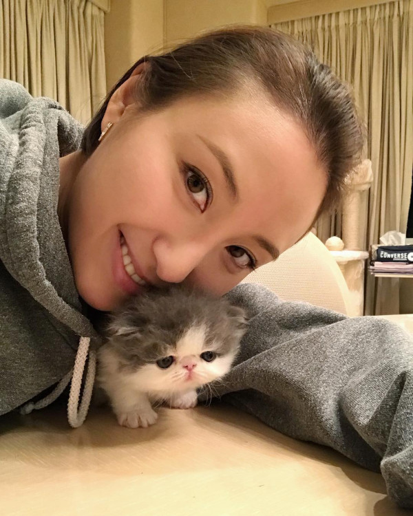 何超雲晒新歡合照疑換畫放閃 高調頭貼頭曝光新戀情？未婚夫3年情疑正式告吹