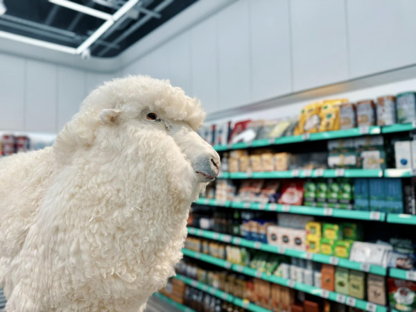 環保超市Green Price大角咀開全新分店 破格設計大推「不完美」主題！